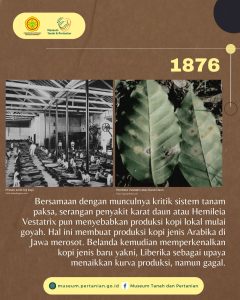Kiprah Kopi di Indonesia