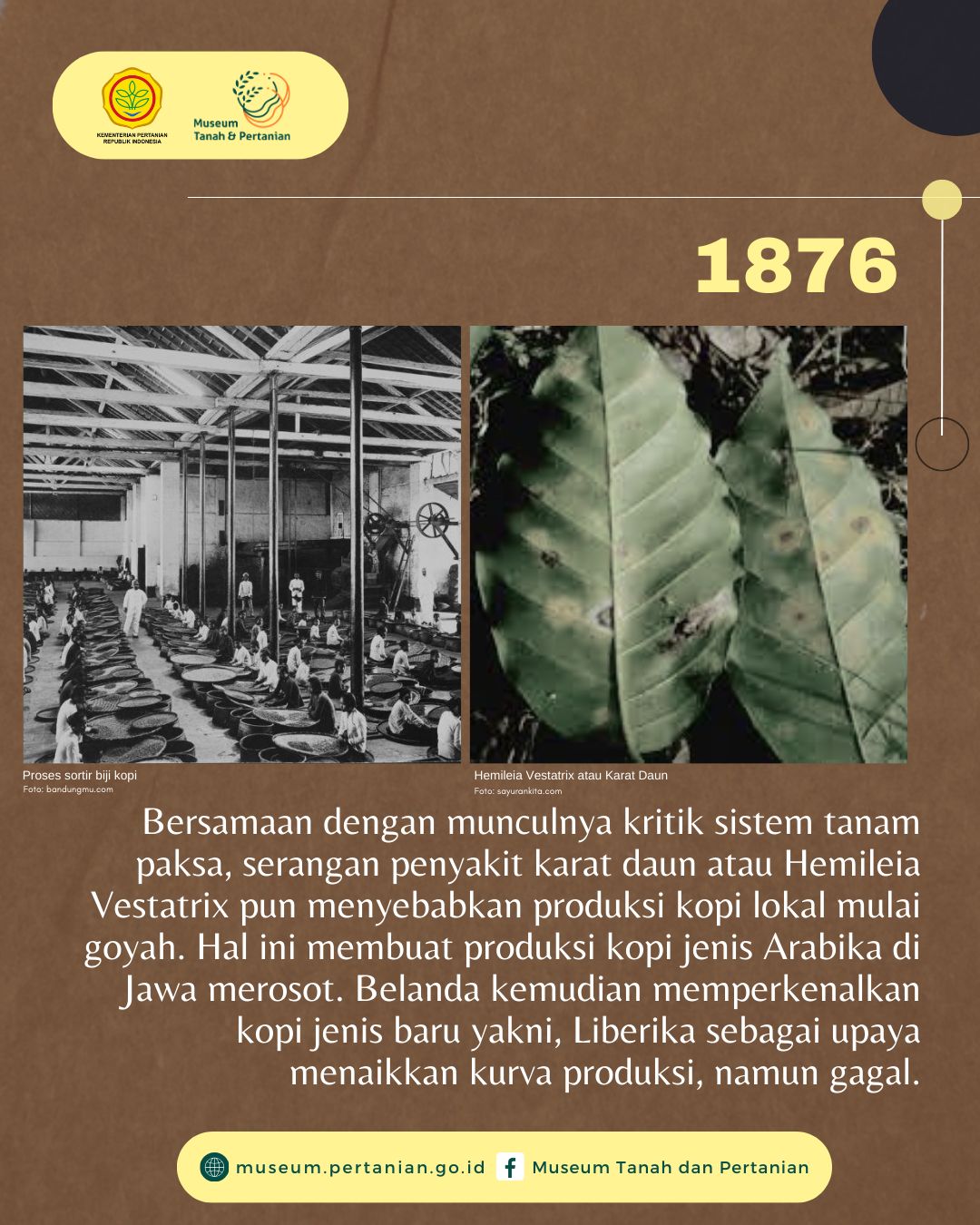Kiprah Kopi di Indonesia