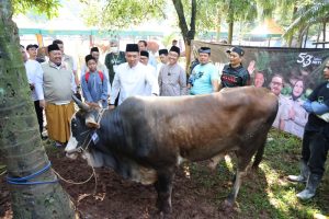 Wamentan Sudaryono: Ketersediaan Hewan Kurban Nasional Surplus, Pasokan Aman