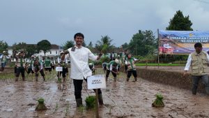 Perkuat Ketahanan Pangan, Mustani Gaungkan Gerakan Tanam Serentak