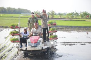 Stok Beras RI Tembus 28 Juta Ton, Wamentan Sudaryono Kebut Tanam 750 Hektar Padi di Lamongan Hadapi El Nino
