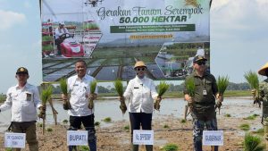 Kementan Percepat Gerakan Tanam di Lahan Oplah dan Cetak Sawah Rakyat untuk Perkuat Ketahanan Pangan Nasional